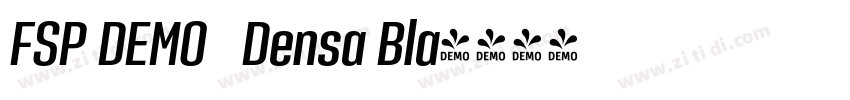 FSP DEMO   Densa Bla字体转换